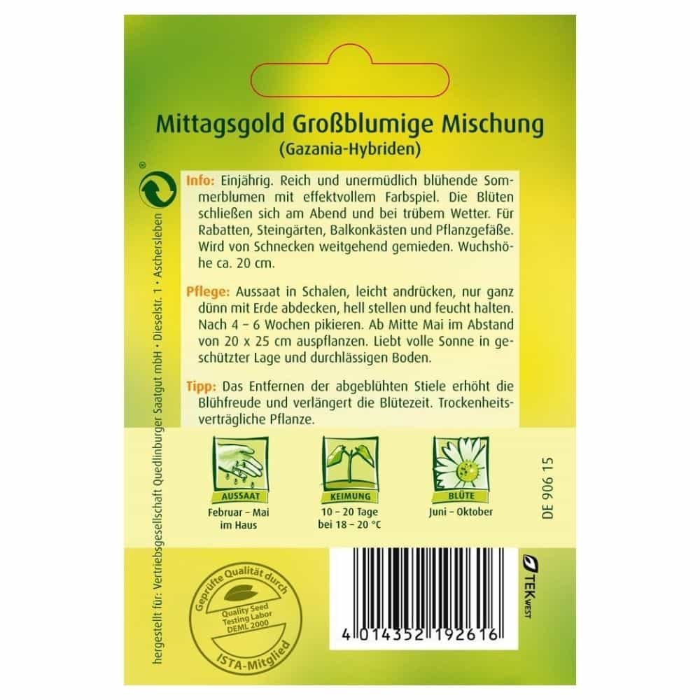 Mittagsgold, Großblumige Spielarten-0