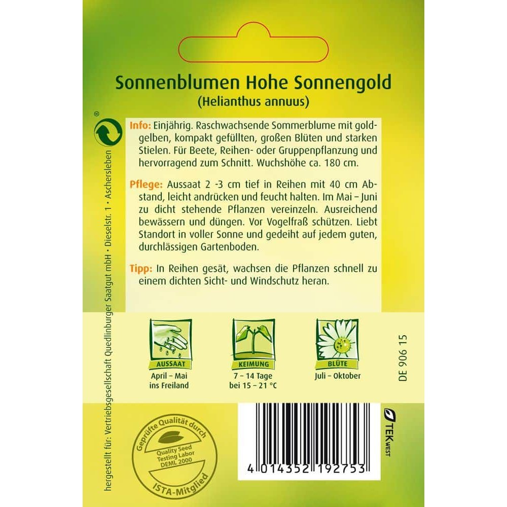 Sonnenblume, Hohe Sonnengold-0