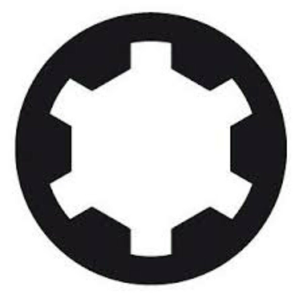 1/2" Ribe-Nuss RM 10, 60mm Länge, Cr-Mo (10 St.)