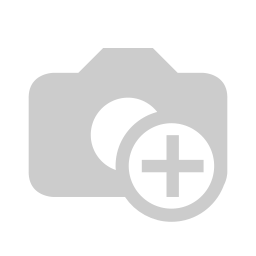 1/4" Inbus 3,0, L=30mm (100 St.)#_3