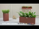 youtube - [Video]