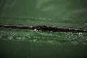 aquadrip_Baumbewässerungssack_Detail_Reißverschluss (1).webp