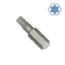 BTX10.webp