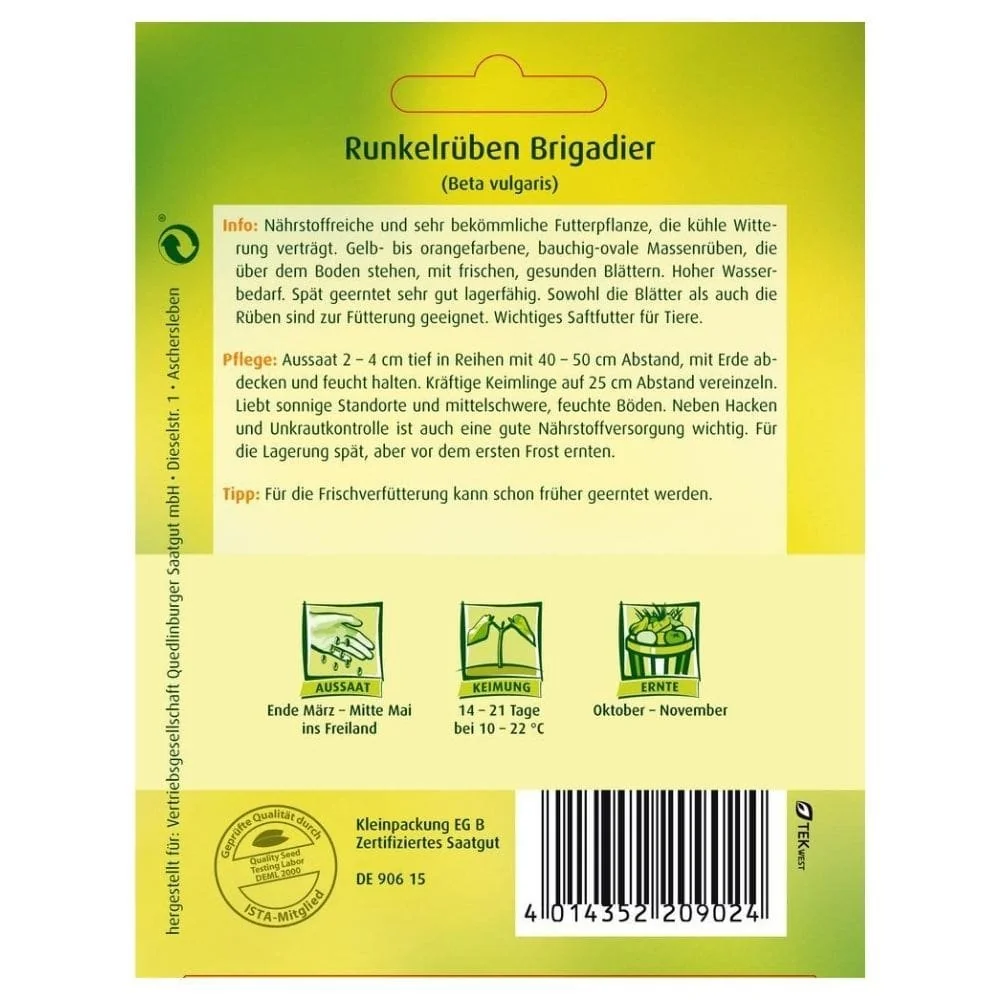 Runkelrbe, Brigadier 25g