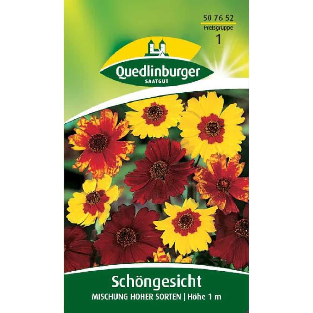 Schöngesicht, Mischung hoher Sorten