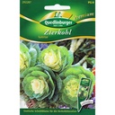 Zierkohl Sunrise kaufen, winterhart & pflegeleicht