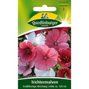 Trichtermalve Saatgut, Malve, Sommerblumen für Ihren Garten