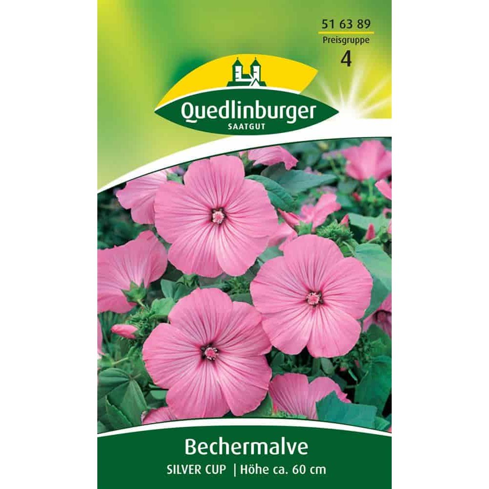 Bechermalve Silver Cup, rosa Sommerblume kaufen