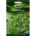 Wilde Rauke Samen kaufen