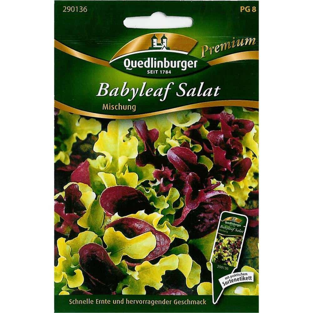 Salatsamen, Salat Mischung, Boni, Pflücksalat, Schnittsalat