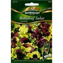 Salatsamen, Salat Mischung, Boni, Pflücksalat, Schnittsalat