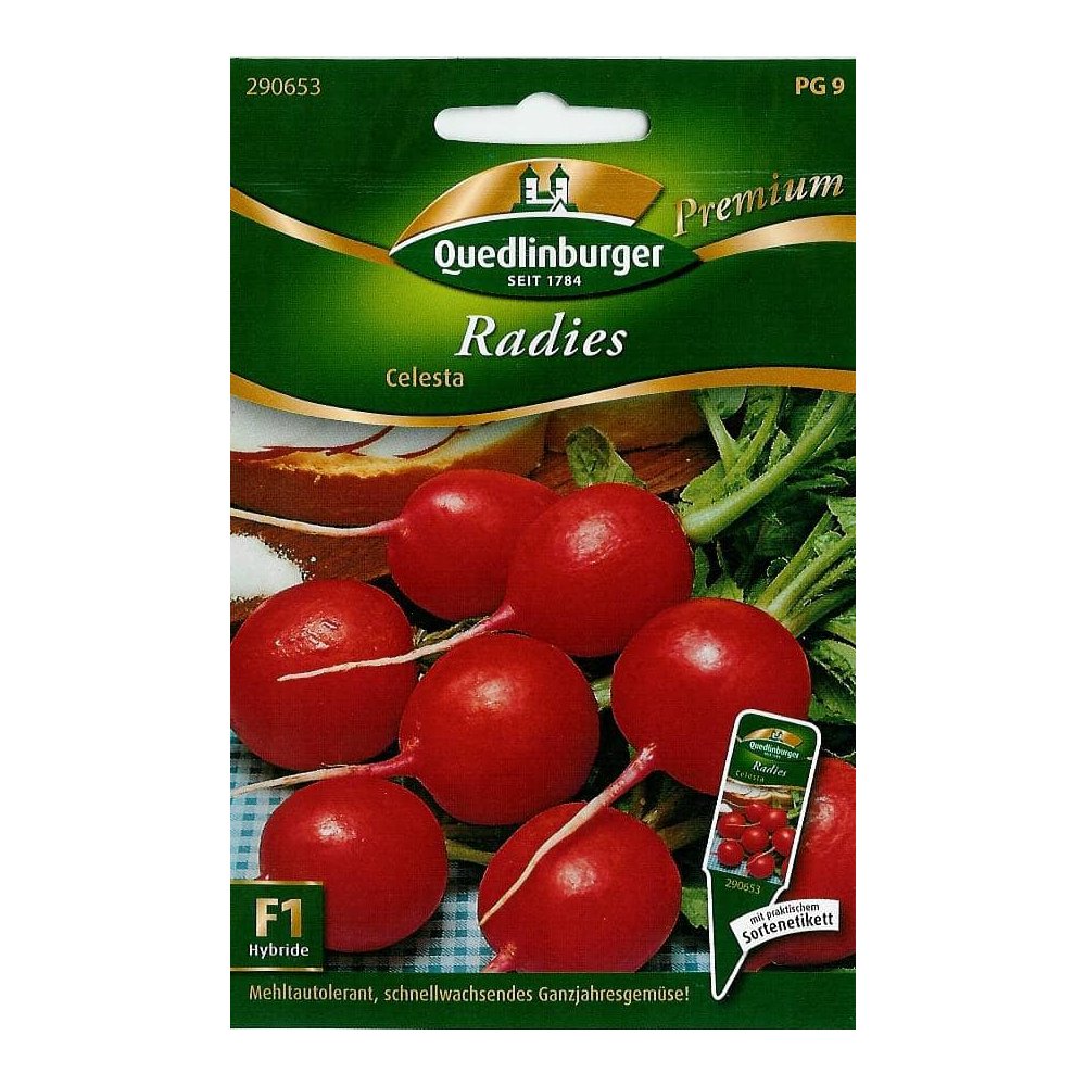 Radieschen Celesta Samen, Radieschen kaufen
