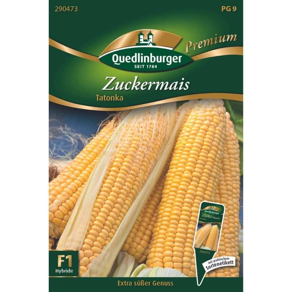 Zuckermais, Maiskolben, Mais Saatgut für Anbau & Ernte