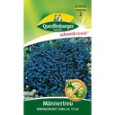 Männertreu kaufen, blaue Sommerblume, Lobelia Kristallpalast