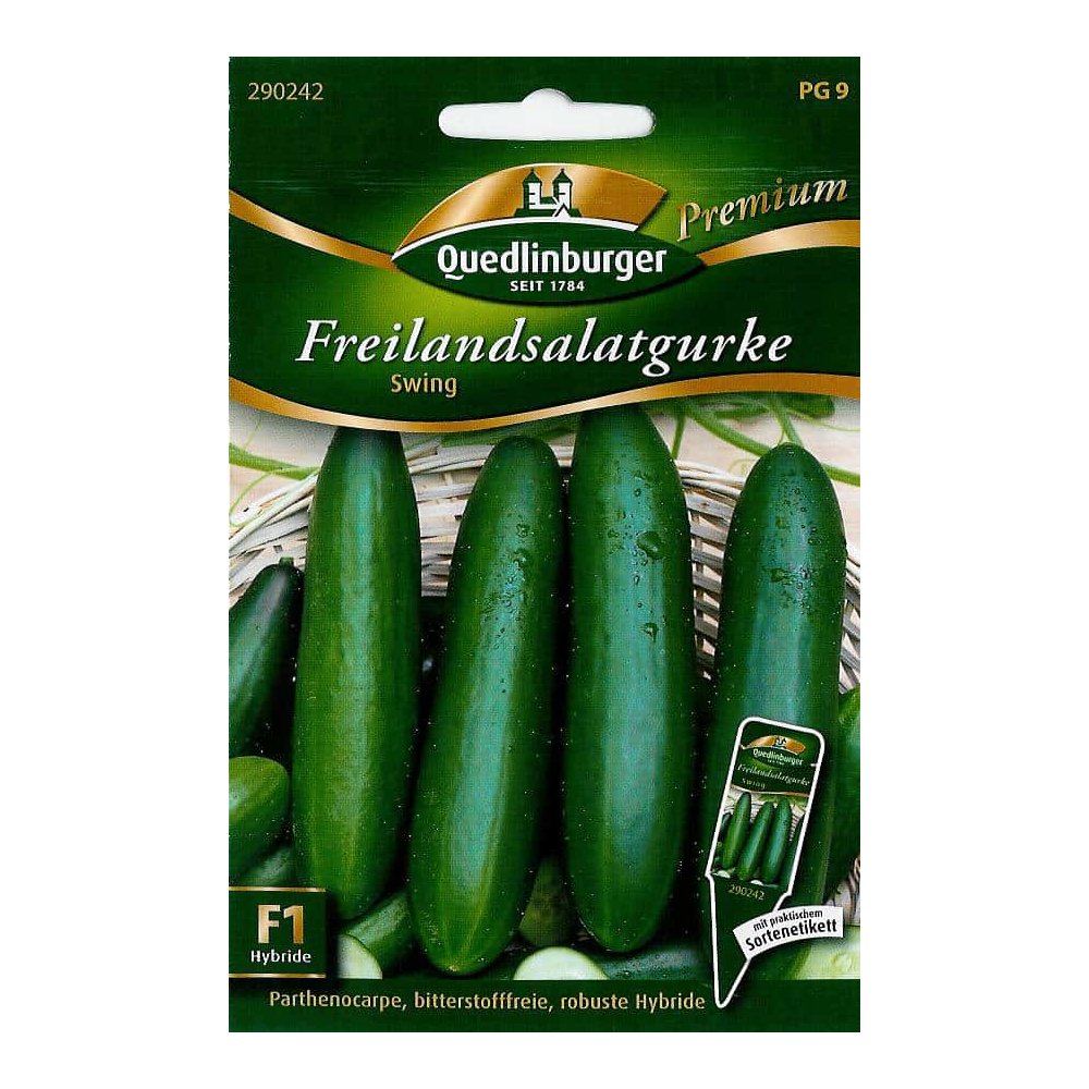 Salatgurke kaufen, Freilandgurke Swing F1, samenfest