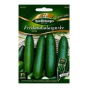 Salatgurke kaufen, Freilandgurke Swing F1, samenfest