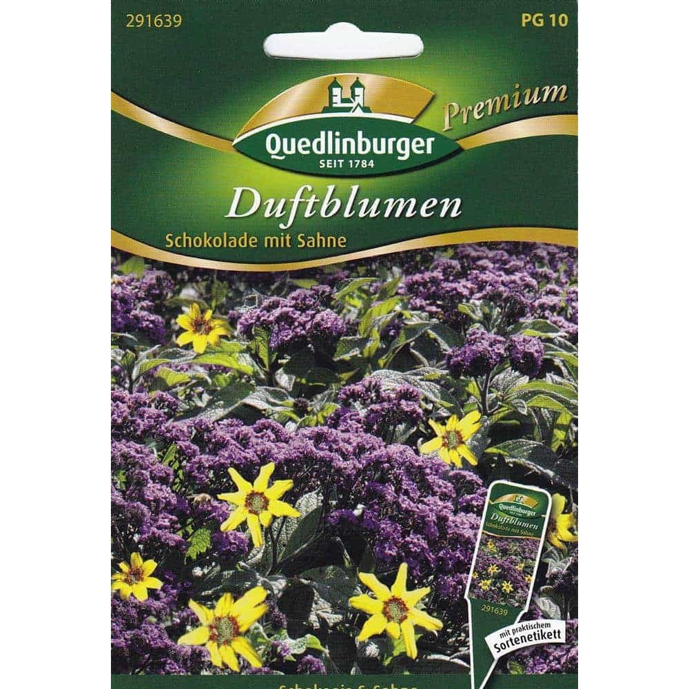 Schokoladenblume Samen, Vanilleblume, Duftblumen, Sommerblumen