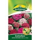 Bartnelke, Gefüllte Mischung, Bunte Blumenmischung