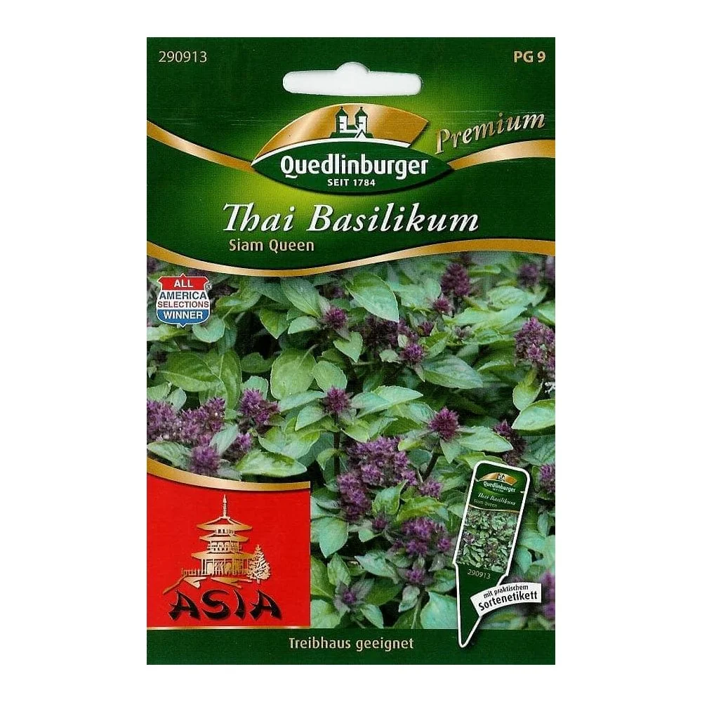 Thai Basilikum Siam Queen, duftendes Kraut für Thai Küche & Balkon
