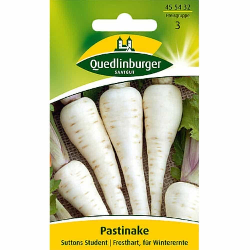 Pastinaken säen, Suttens Student, Saatgut Pastinake