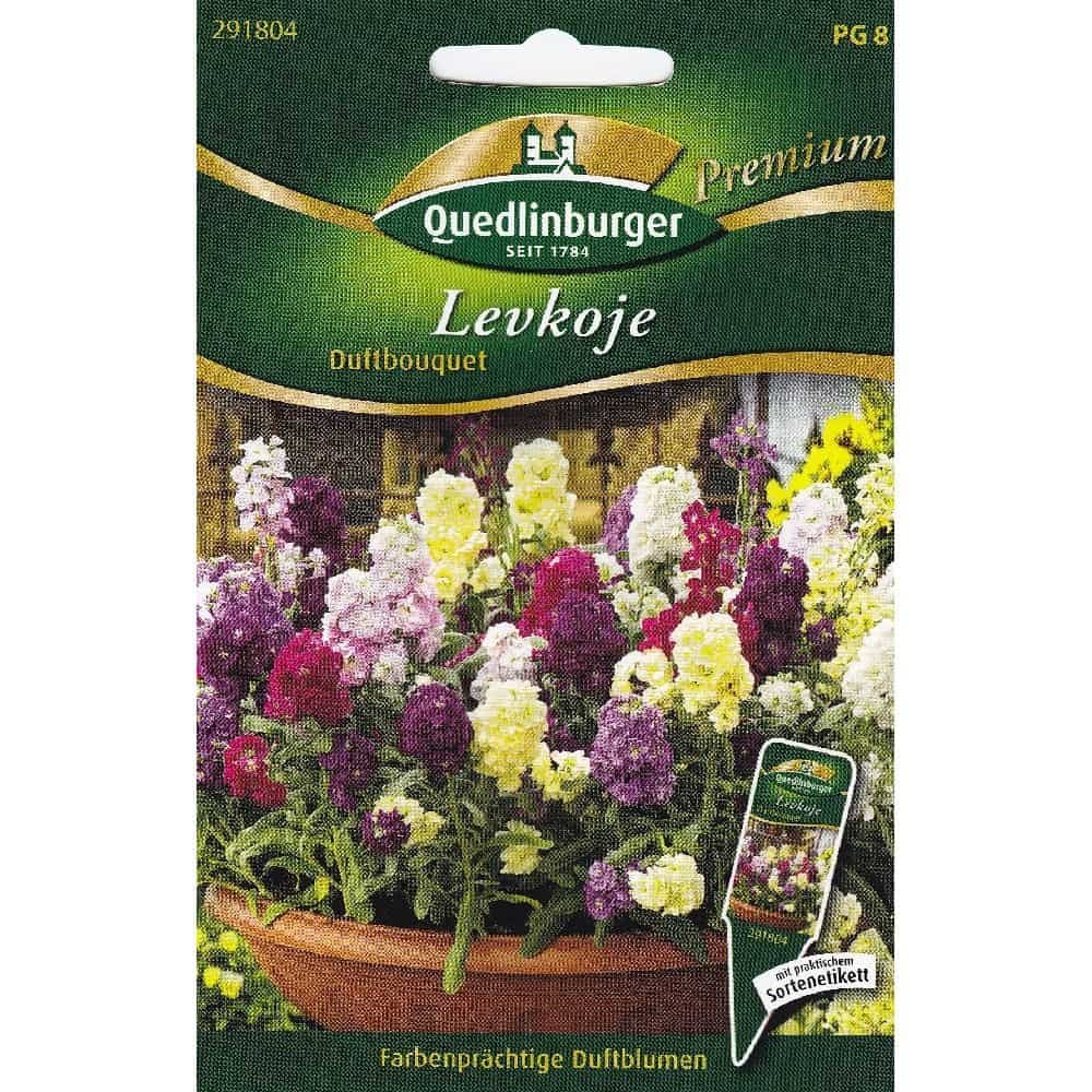 Levkojen Samen, Sommerblumen, Duftbouquet, Boni-Shop