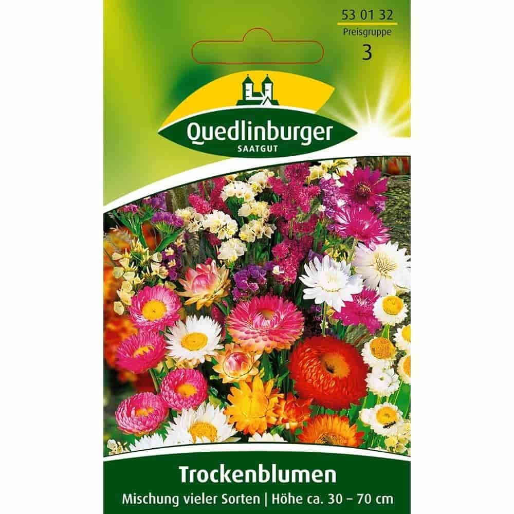 Trockenblumen Mischung, viele Sorten, zum Trocknen & Dekorieren