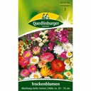 Trockenblumen Mischung, viele Sorten, zum Trocknen & Dekorieren
