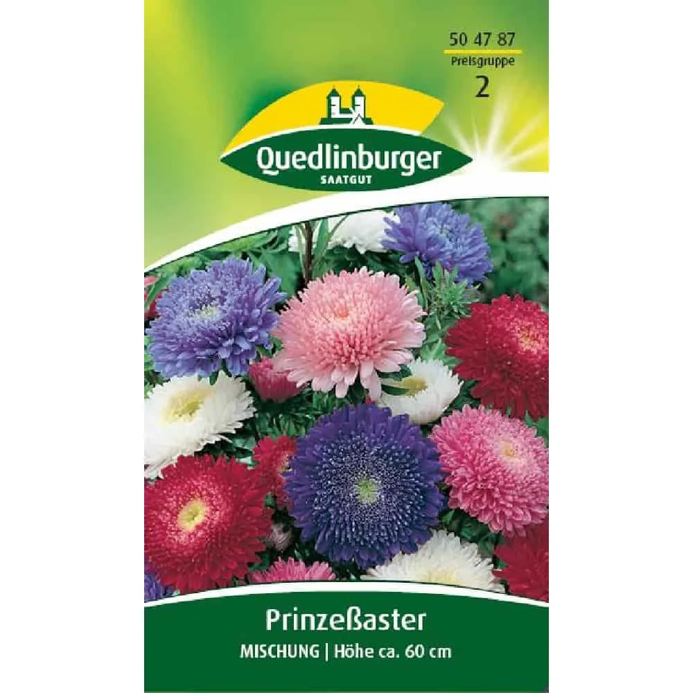 Aster Samen, Mischung, Bunte Astern, Sommerblumen