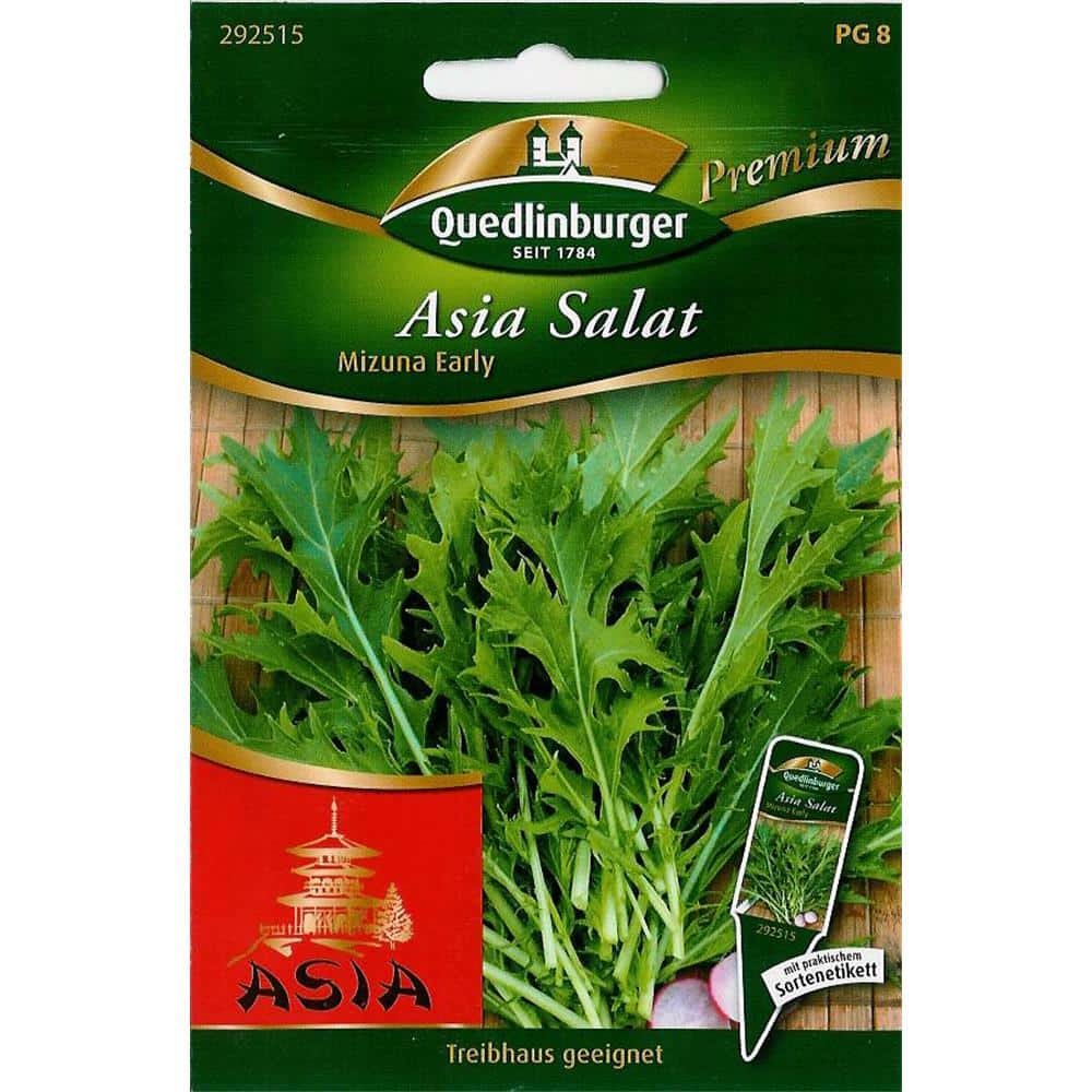 Asiasalat, Mizuna Salat, Salatsamen, Blattgemüse, Early