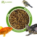 28,5 Liter Soldatenfliegenlarven (5kg) - Ganze, getrocknete Hermetia illucens