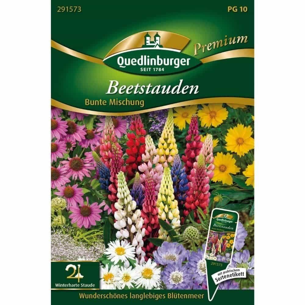 Beetstauden, bunte Mischung, mehrjährige Pflanzen, Boni