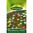 Wiesenblumen Samen, Kräuter Samen, Bunte Blumenwiese, Boni