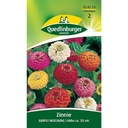 Zinnien Samen, Liliput Mischung, Sommerblumen Samen Boni