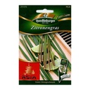 Zitronengras kaufen, Zitronengras pflanzen, asiatische Kräuter, Boni-Shop