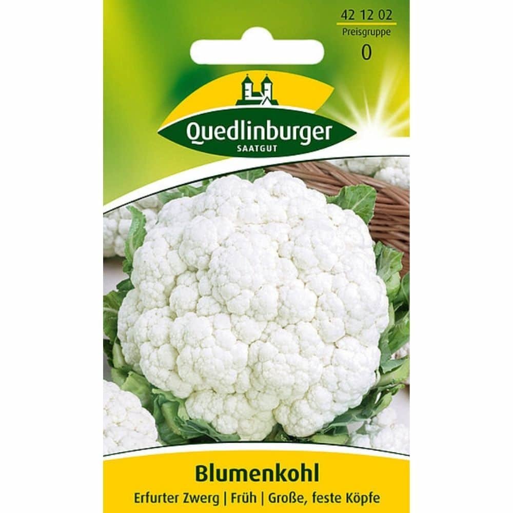 Blumenkohl säen, Erfurter Zwerg, Blumenkohl anbauen, Boni