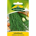 Schnittlauch kaufen, mehrjährig, Boni Shop, pflegeleicht & aromatisch