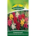 Löwenmaul Samen, Blumensamen Mischung, Halbhohe Blumen, Boni