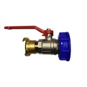 1" IG IBC Container S60 + Kugelhahn + 1"