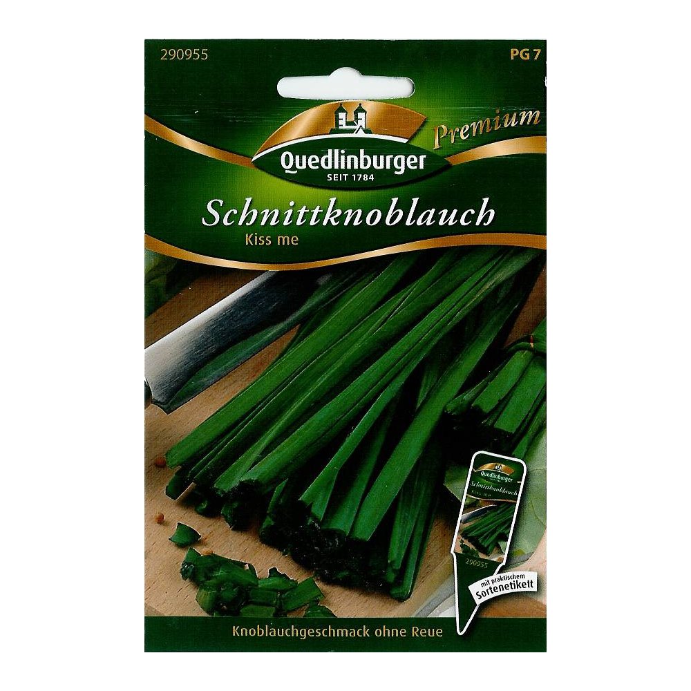Schnittknoblauch, Knoblauch Schnittlauch, mehrjährig, pflegeleicht