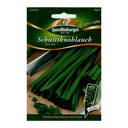 Schnittknoblauch, Knoblauch Schnittlauch, mehrjährig, pflegeleicht