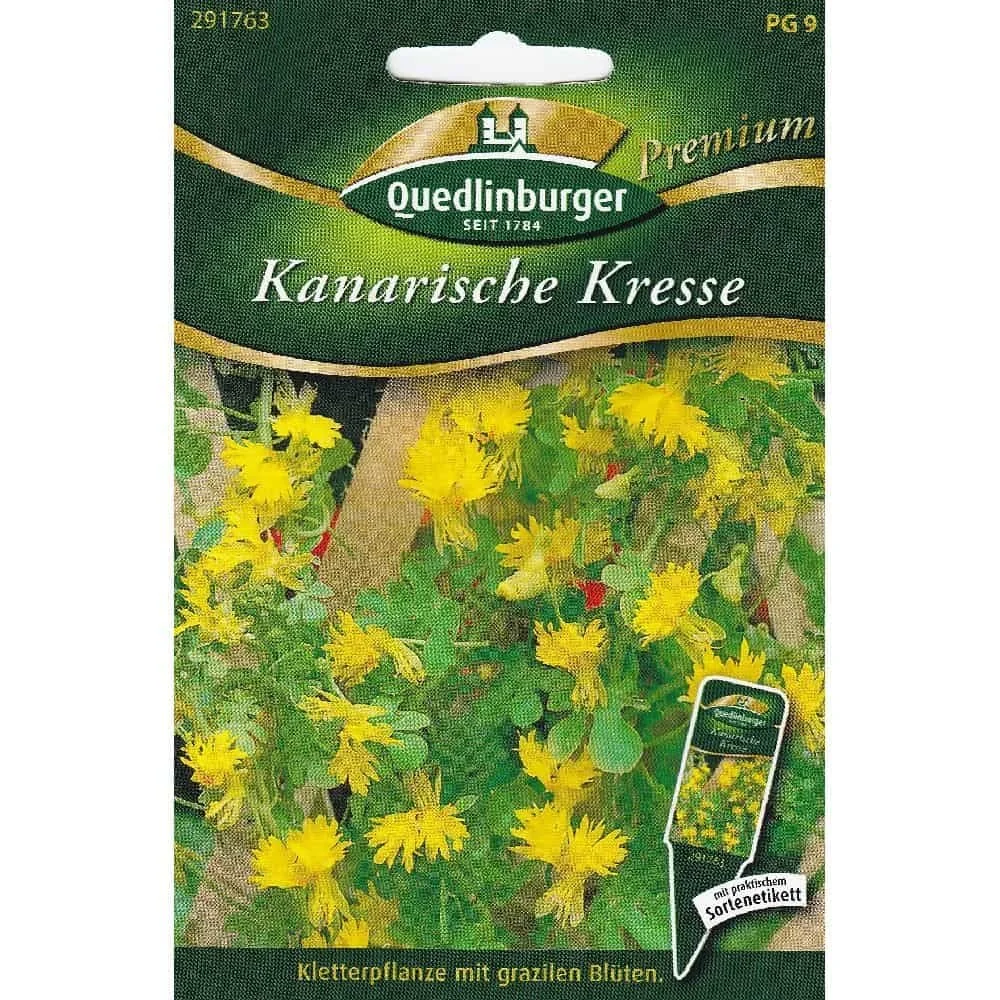 Kletterpflanze Samen, Kanarische Kresse, schnellwachsend, gelb blühend