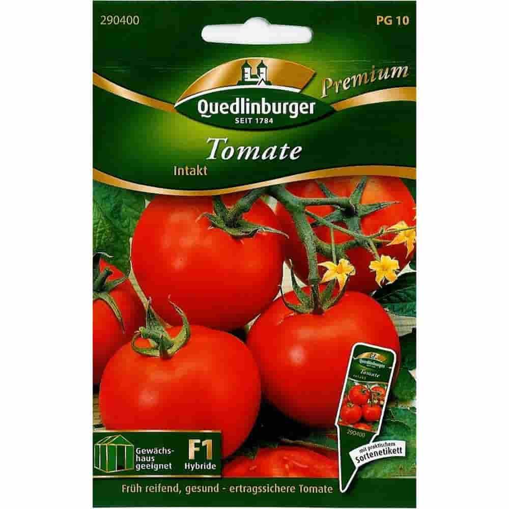 Tomatenpflanzen Intakt F1, robuste, resistente Tomatensorten
