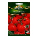 Fleischtomate, Ikarus