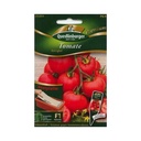 Tomatenpflanzen, Saatplatte Tomate Harzglut F1, Anzucht, Freiland
