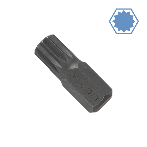 M6 Spline Bit, 10mm Hex Bit, Vielzahn