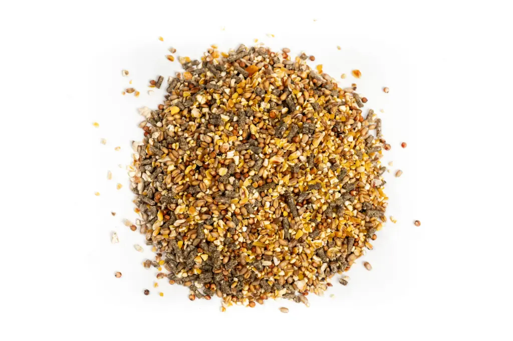 Hühnerfutter 20kg, Körnermischung, Getreidemischung, Legehennenfutter