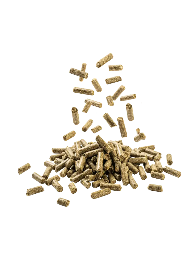 Pferdefutter, Fohlenfutter kaufen, Pellets Pferd, Mineralfutter