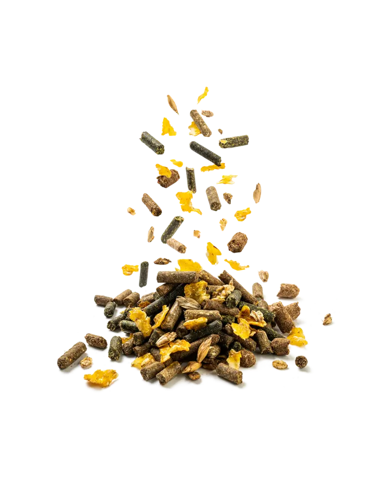 Stutenfutter, Fohlenfutter, energiereiches Pferdefutter