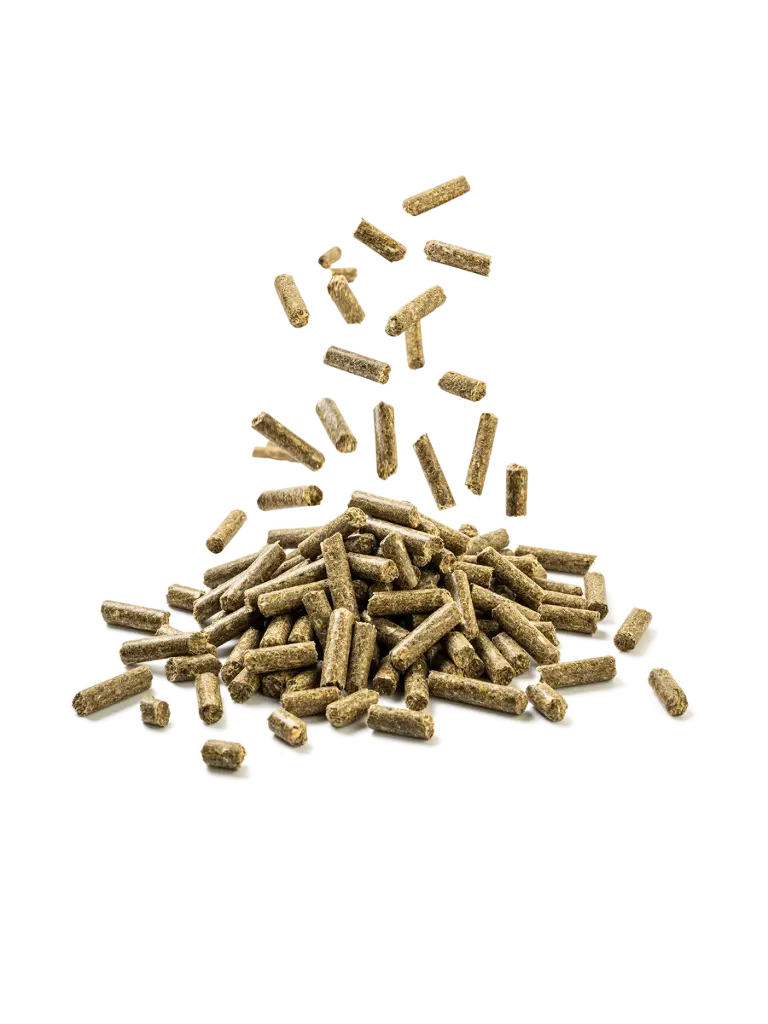 Pferdefutter 20kg, Fohlenfutter, Stutenfutter, Pellet, leicht verdaulich