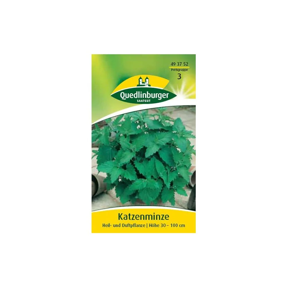 "Katzenminze Pflanze, mehrjährig, Bienenfreundliche Duftpflanze image"